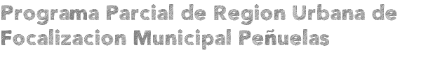 Programa Parcial de Region Urbana de Focalizacion Municipal Peñuelas